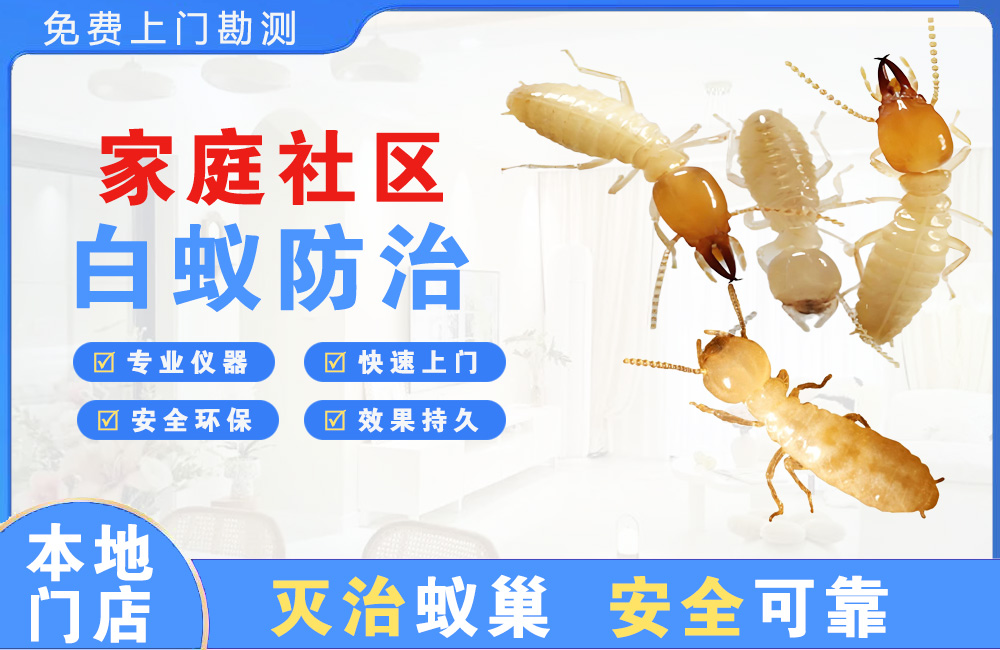 德宏家庭社区白蚁防治
