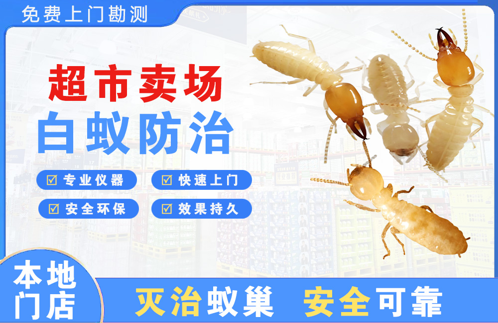 德宏超市卖场白蚁防治