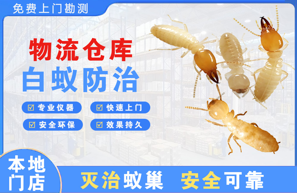 德宏物流仓库白蚁防治
