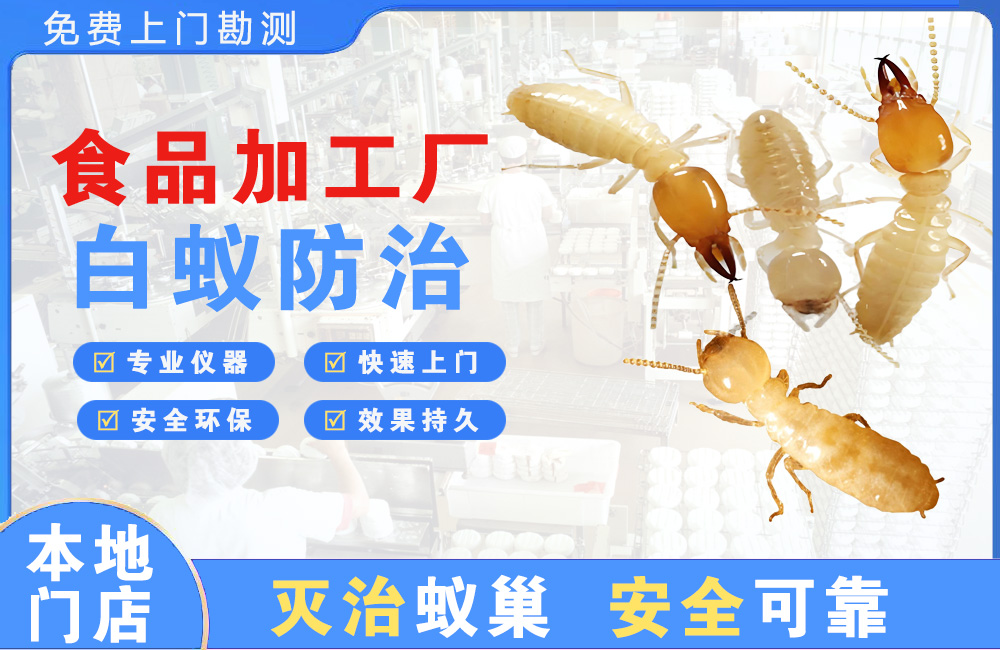德宏食品加工厂白蚁防治