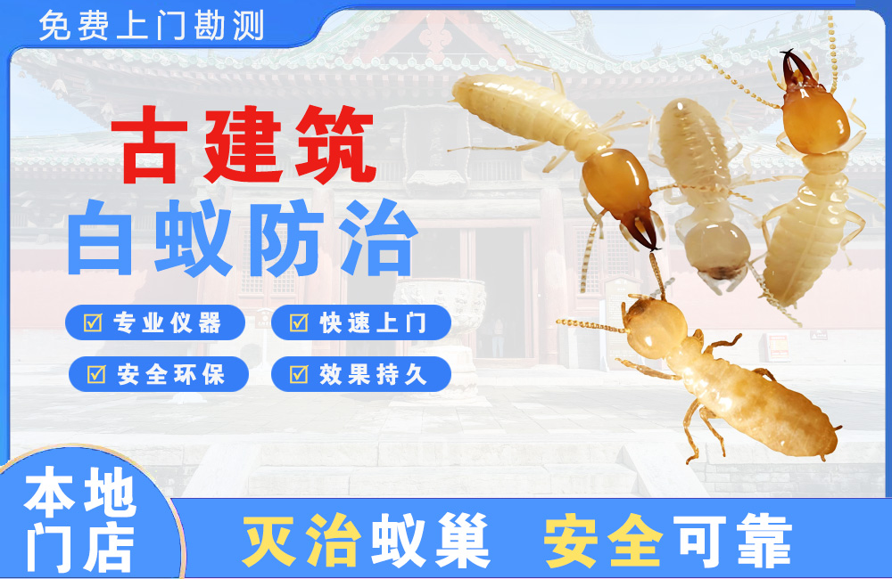 德宏古建筑白蚁防治