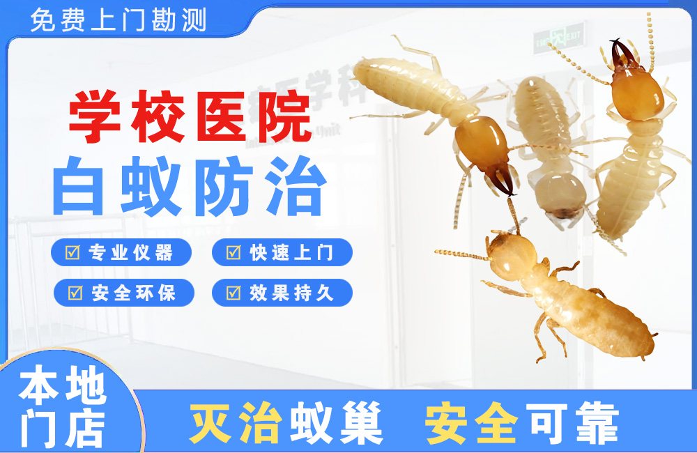 德宏学校医院白蚁防治
