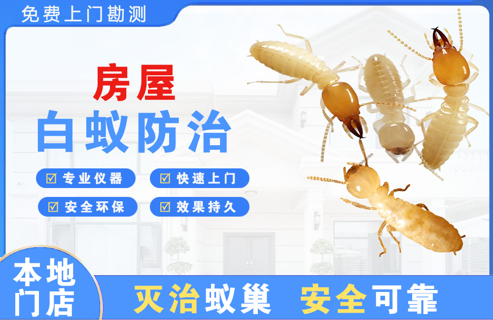德宏房屋白蚁防治