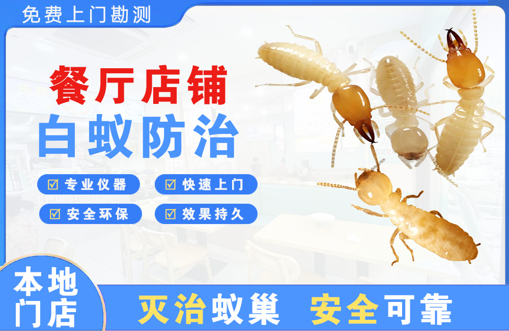 德宏餐厅店铺白蚁防治